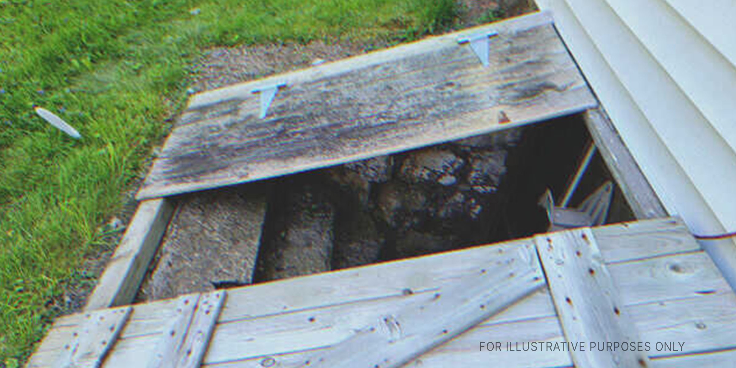 Open cellar. | Source: Shutterstock