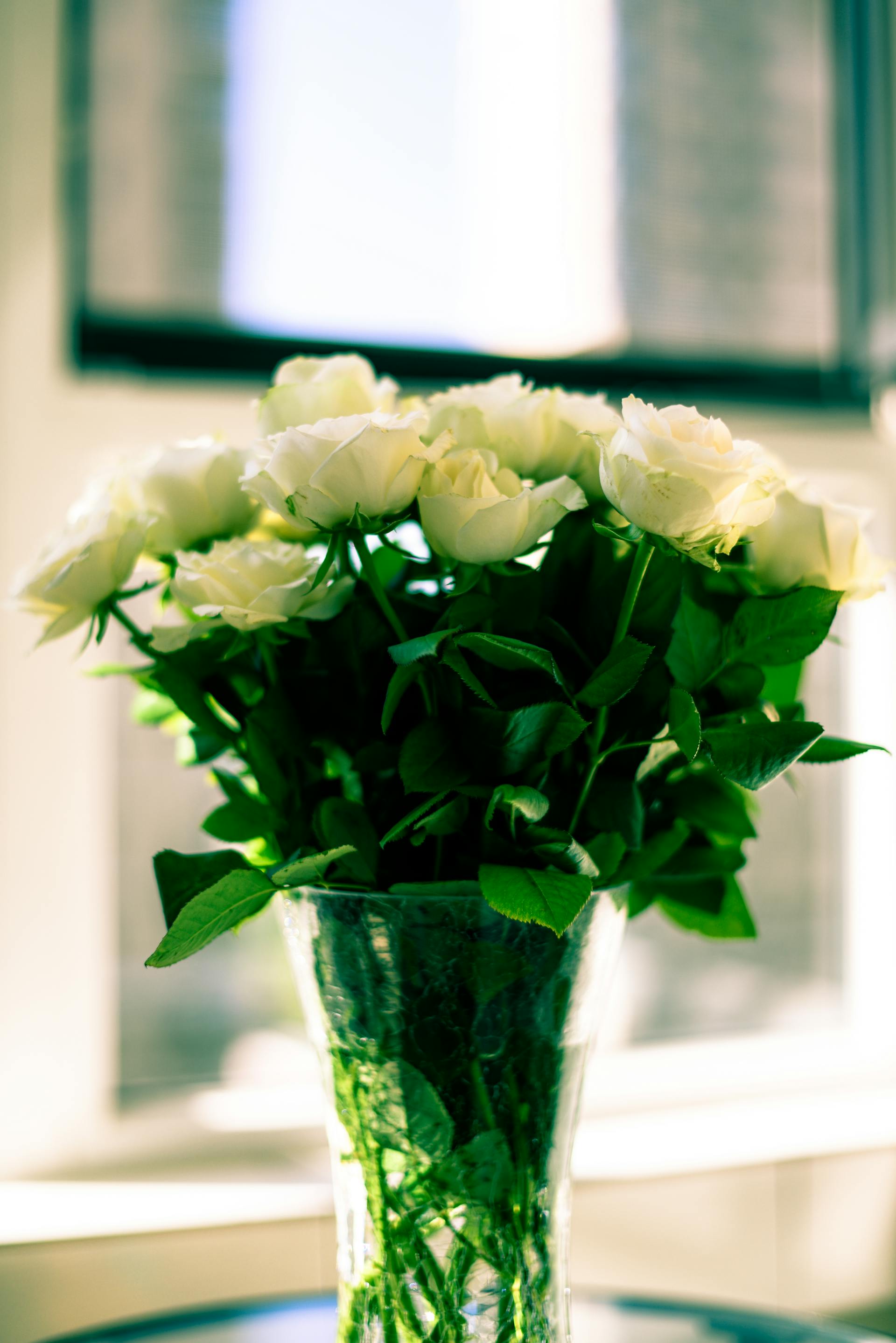 A bouquet of white roses in a glass vase | Source: Pexels