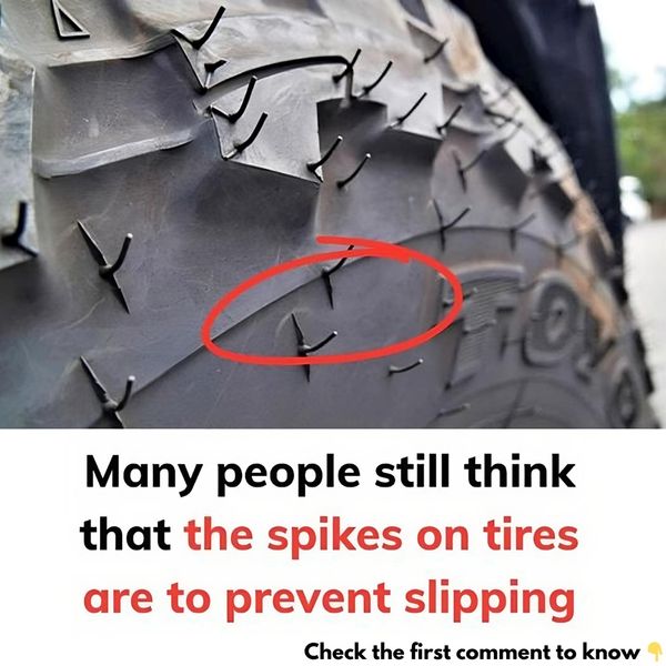 Rubber Vent Spikes on Tires